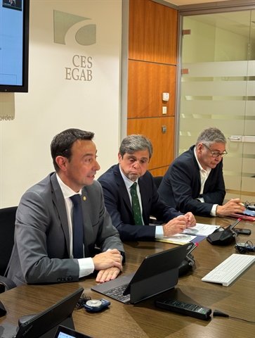 El vicelehendakari segundo Mikel Torres y su equipo comparecen ante el Pleno del CES