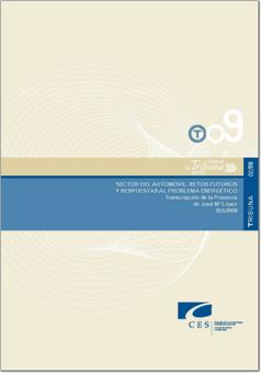 Sector del Automóvil: retos futuros y respuestas al problema energético